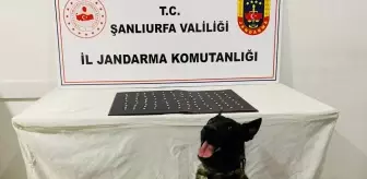 Şanlıurfa'da Uyuşturucu ve Silah Kaçakçılığı Operasyonu: 42 Gözaltı
