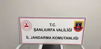 Şanlıurfa'da Dolandırıcılık Operasyonu: 17 Gözaltı