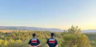 Saraydüzü'nde Orman Yangınlarına Karşı Denetim