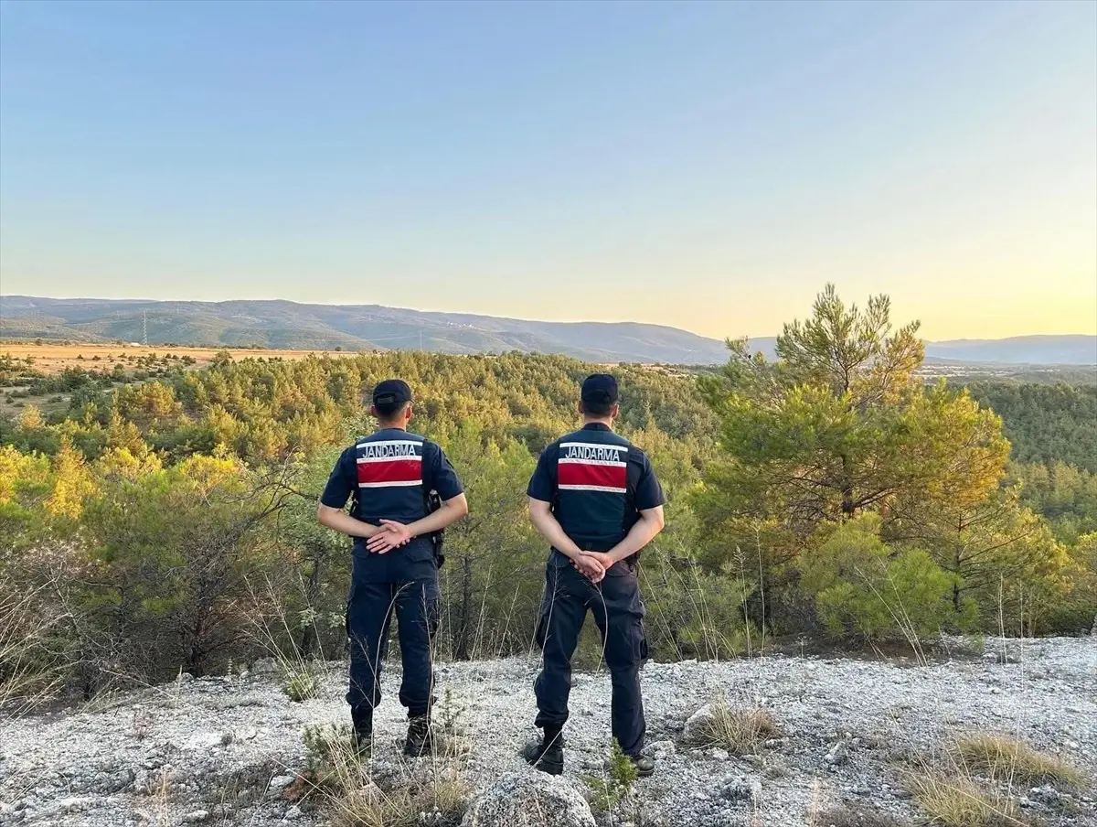 Saraydüzü'nde Orman Yangınlarına Karşı Denetim