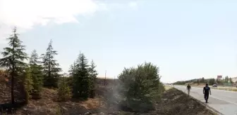 Konya'da D300 Kara Yolu Kenarında Yangın Korkuttu