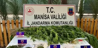 Manisa'da Uyuşturucu Operasyonu: Bir Kişi Gözaltına Alındı