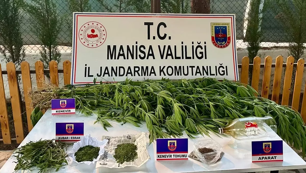 Manisa'da Uyuşturucu Operasyonu: Bir Kişi Gözaltına Alındı