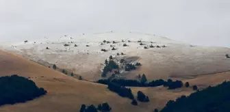 Sarıkamış'ın yüksek kesimlerine kar yağdı
