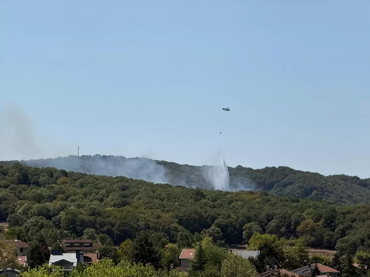 Sarıyer'de Orman Yangınına Havadan ve Karadan Müdahale