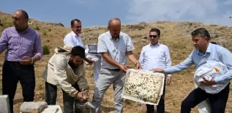 Batman Sason'da Bal Hasadı Başladı