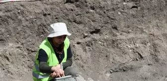 Satala Antik Kenti'nde 8. sezon arkeolojik kazılara başlandı