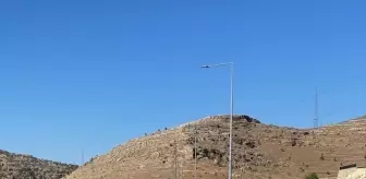 Savur'da Sürücü Adayları Direksiyon Sınavına Girdi