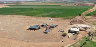Şanlıurfa'da Neolitik Çağ Kazılarında 12 İnsan Kafatası Bulundu