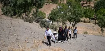 Van'da Aysel ve Kamil Işık Çifti Arıcılık ile Başarı Hikayesini Yazıyor