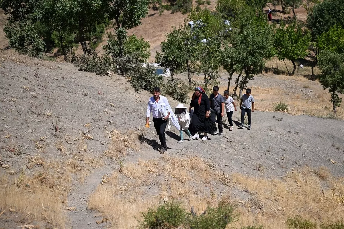 Van'da Aysel ve Kamil Işık Çifti Arıcılık ile Başarı Hikayesini Yazıyor