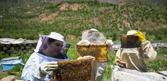 Şehir Hayatından Uzaklaşan Çift, Arıcılıkla Başarıya Koşuyor