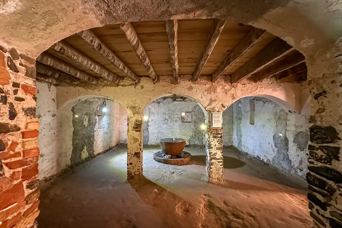 Goree Adası: Kölelik Tarihinin Simgesi