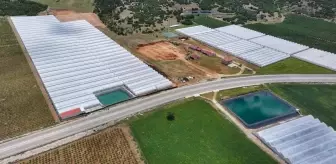 Seracılığın merkezi Elmalı'da kuraklığa 'yağmur suyu hasadı' ile çözüm