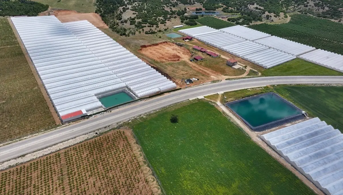 Seracılığın merkezi Elmalı'da kuraklığa 'yağmur suyu hasadı' ile çözüm