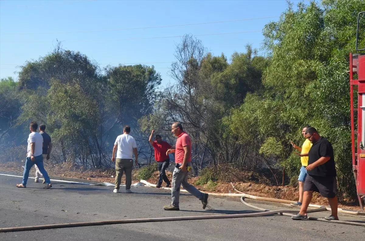 Antalya'da Çalılık Alanda Yangın Kontrol Altına Alındı