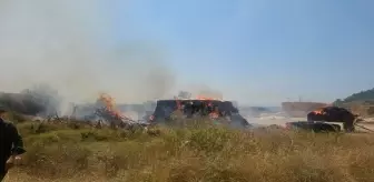 Antalya'da Okul Bahçesinde Başlayan Yangın Tarım Alanına Sıçradı