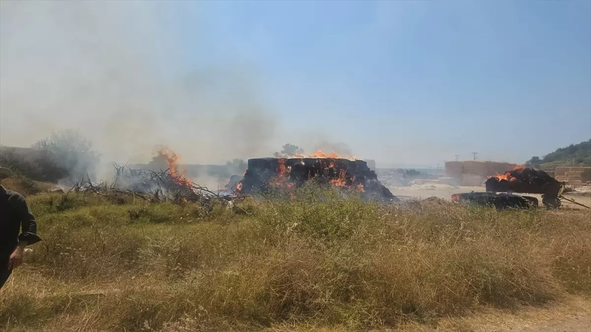 Antalya'da Okul Bahçesinde Başlayan Yangın Tarım Alanına Sıçradı