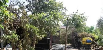 Antalya'da Prefabrik Evde Yangın: 81 Yaşındaki Adam Kurtarıldı
