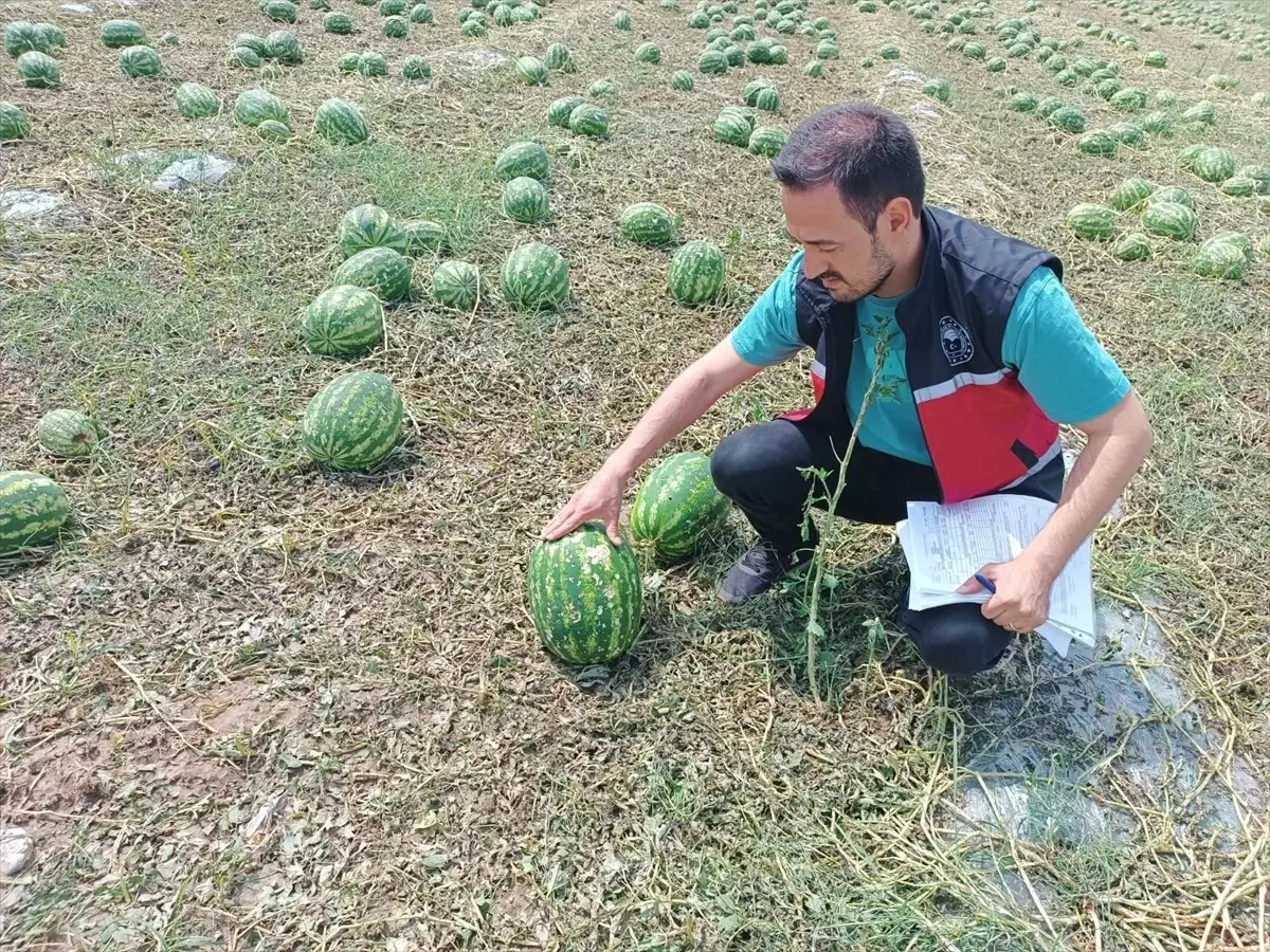 Antalya'da Dolu ve Sağanak Zararları İçin Hasar Tespit Çalışmaları Başlatıldı