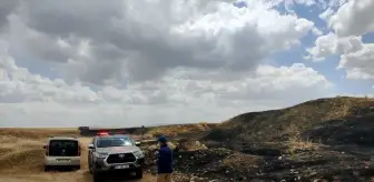 Siirt'te Buğday Ekili Arazide Yangın Çıktı