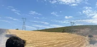Siirt'te Tarım Alanında Yangın Çıktı