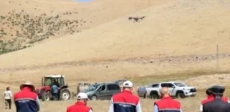 Siirt'te Çekirgelerle Mücadele İçin Dronla İlaçlama Başlatıldı