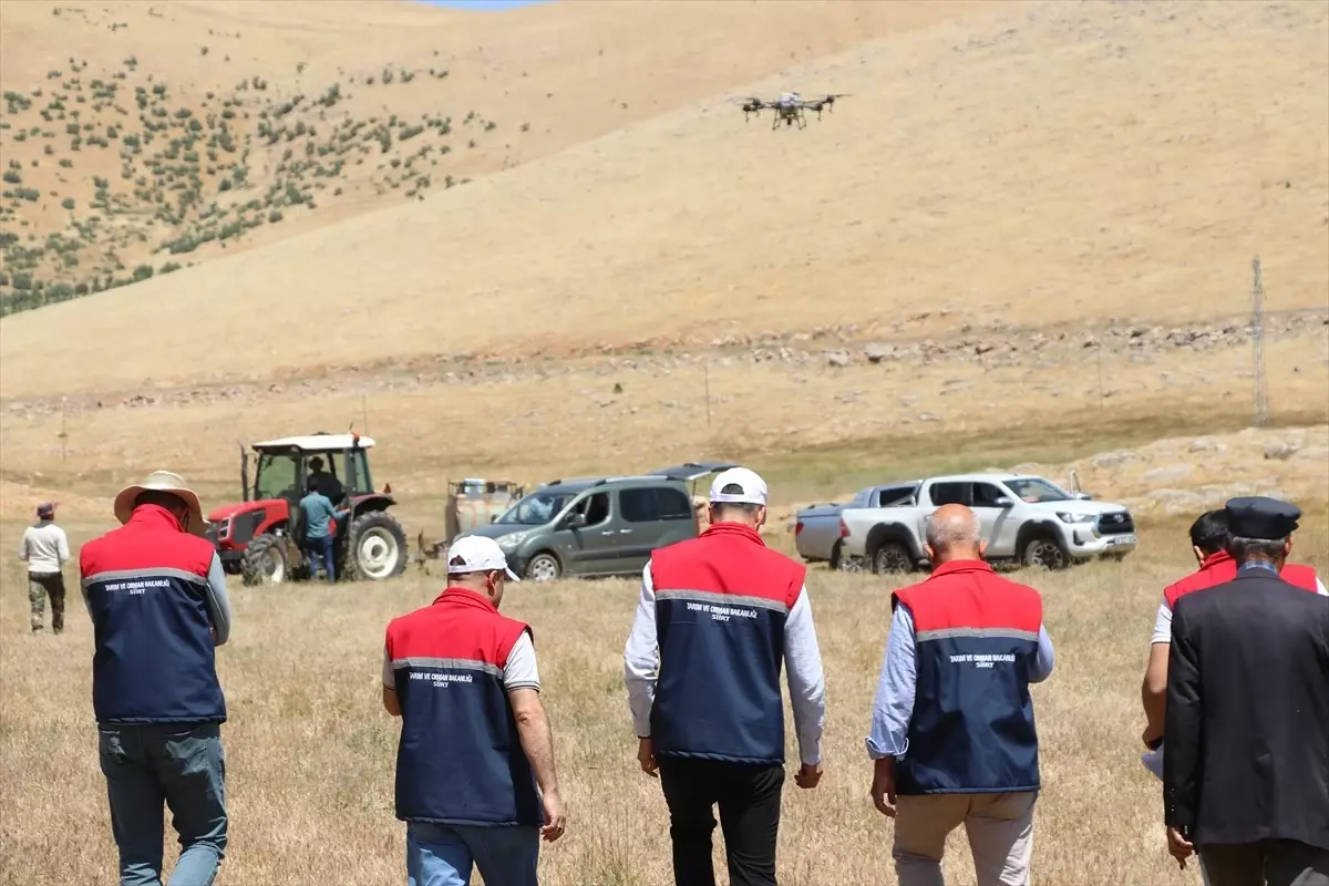 Siirt'te Çekirgelerle Mücadele İçin Dronla İlaçlama Başlatıldı