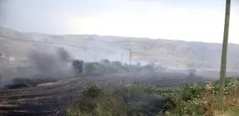 Siirt'te Anız Yangını Kontrol Altına Alındı