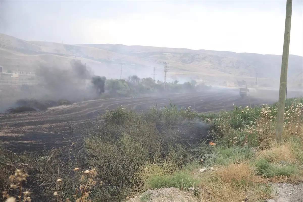 Siirt'te Anız Yangını Kontrol Altına Alındı