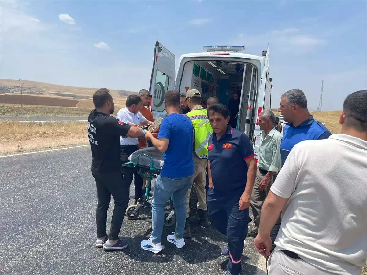 Siirt'te Tarlaya Devrilen Otomobilin Sürücüsü Yaralandı