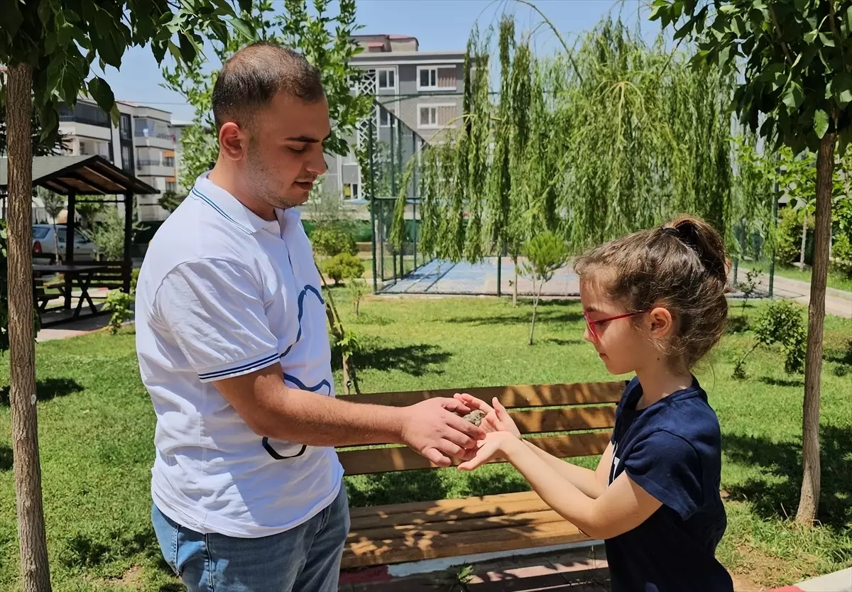 Siirt'te Uçmakta Zorlanan Saka Kuşu Yavrusu Koruma Altına Alındı