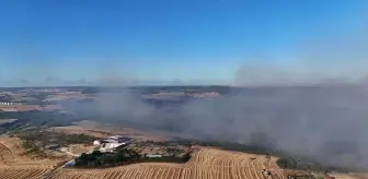 Silivri'de Büyük Orman Yangını: 100 Hektar Zarar Gördü