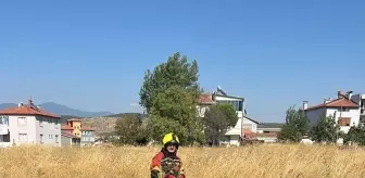 Sındırgı'da Otluk Alanda Yangın Çıktı