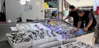 Sinop'ta Balıkçılar Umutsuz: Av Sezonu Beklentileri Tükeniyor