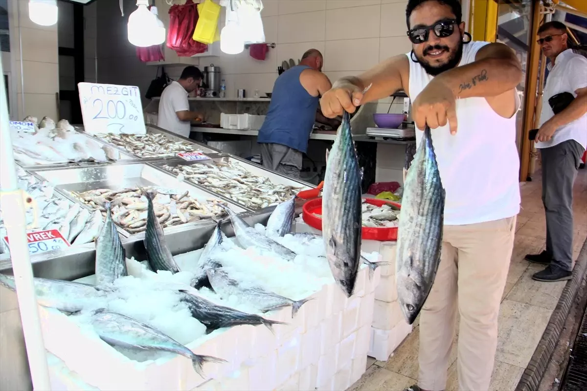 Sinop'ta Torik Bereketi: Balıkçılar 650 Kasa Torik Yakaladı