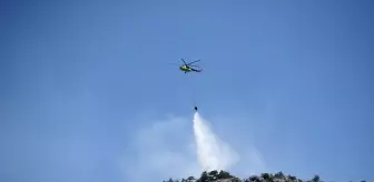 Sinop'ta Orman Yangınına Müdahale Sürekli Devam Ediyor