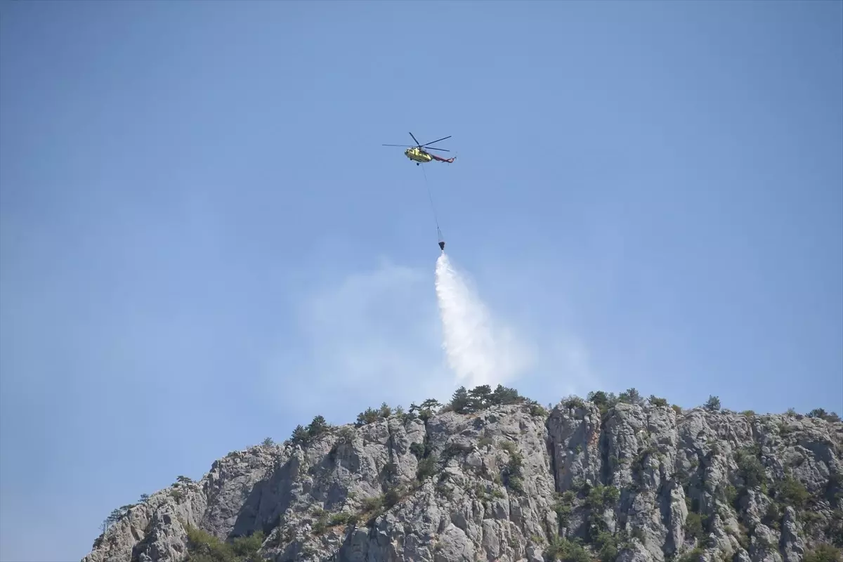 Sinop'ta Orman Yangınına Müdahale Sürekli Devam Ediyor