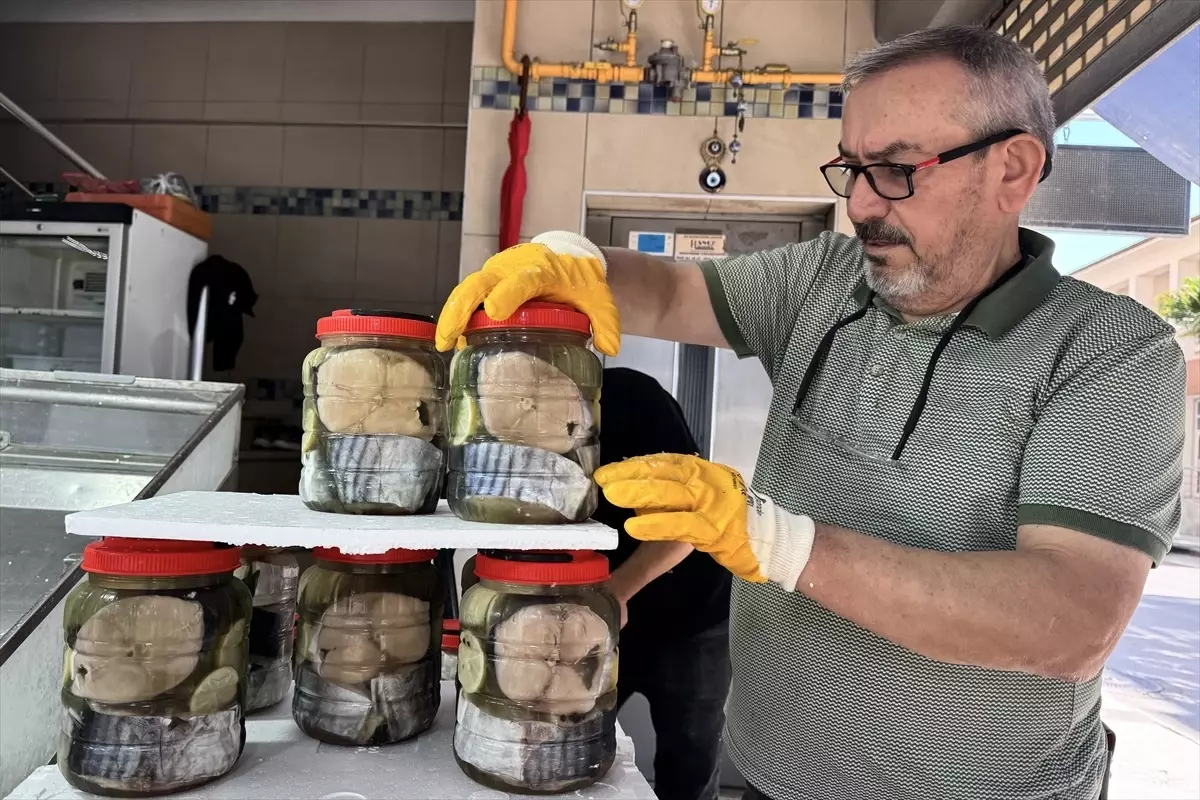 Sinop'ta Sezonun İlk Lakerdaları Tezgâhlarda: Kavanoz Fiyatı 2000 Lira