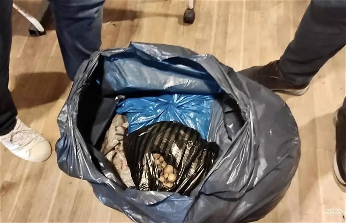 Sinop'ta Yabani Orkide Satışına İdari İşlem