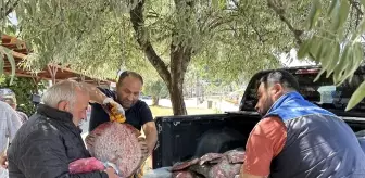 Sinop'ta Kaçak Avlanan 1611 Kalkan Balığına El Konuldu