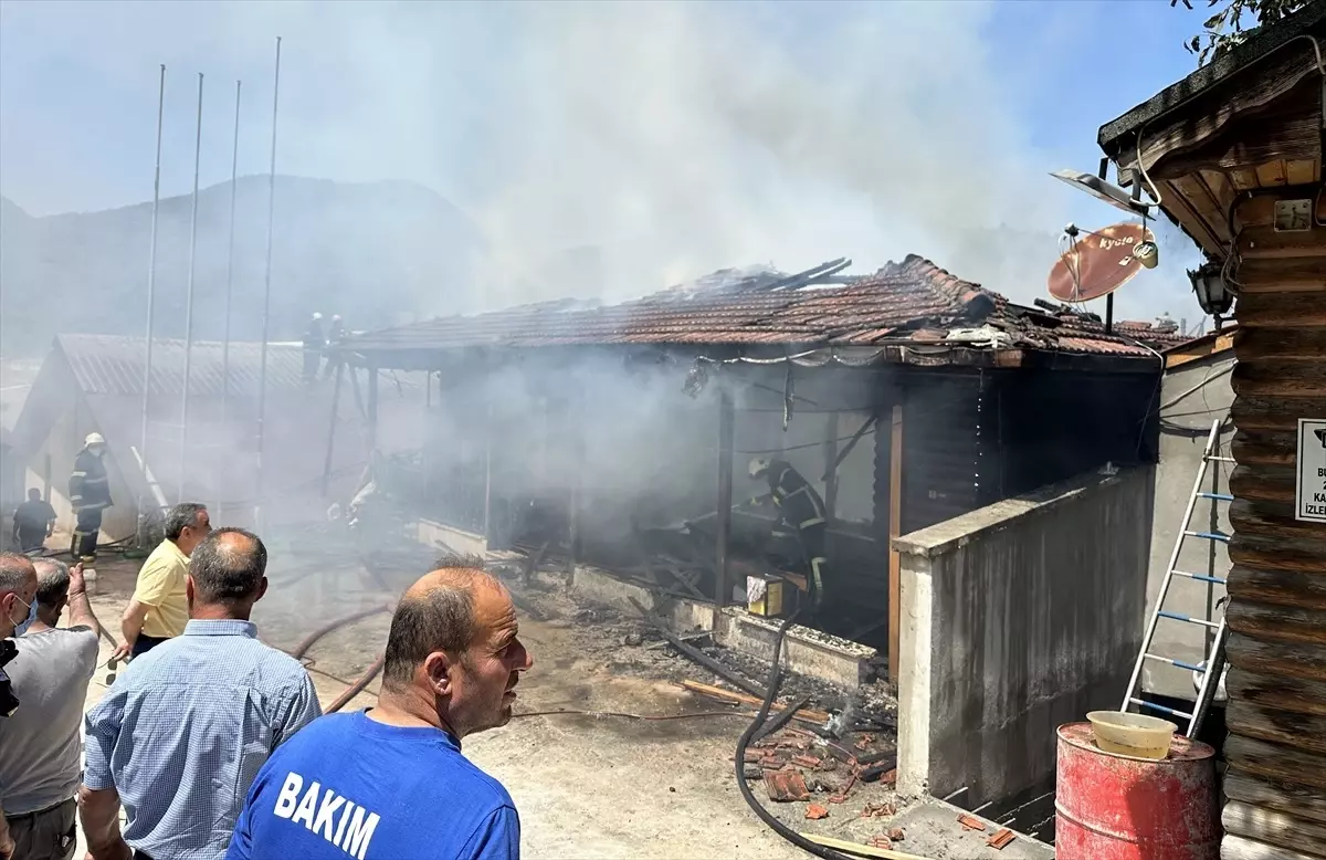 Sinop'ta Kereste Fabrikasında Yangın