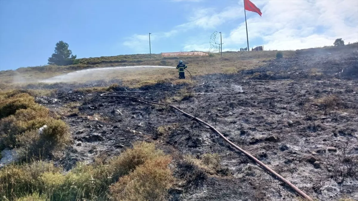 Sinop'ta Makilik Alanda Yangın Söndürüldü