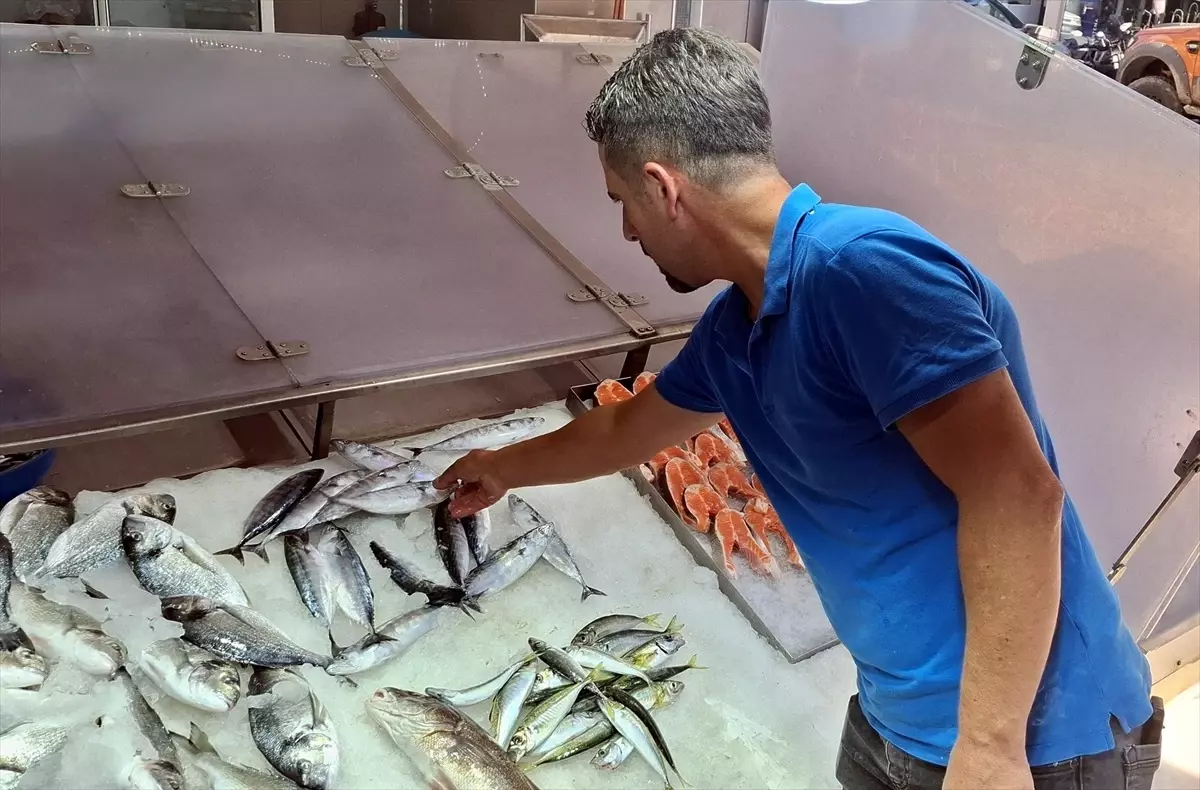 Sinop'ta Palamut Fiyatları 350 Lira: Az Avlanıyor