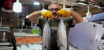 Karadeniz Balıkçılığında Torik Şaşkınlığı: Palamut Gözlemi Düşük
