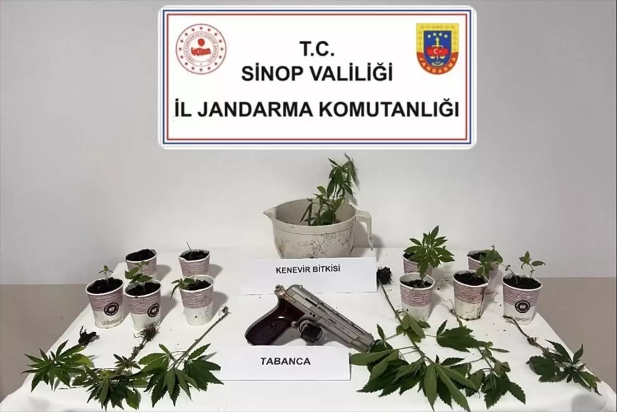 Sinop'ta Uyuşturucu Operasyonu: 4 Gözaltı