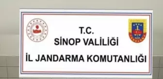Sinop'ta Uyuşturucu Operasyonu: Bir Zanlı Tutuklandı