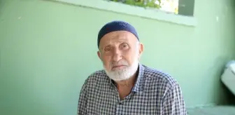Sinop'ta Orman Yangını Kontrol Altına Alındı