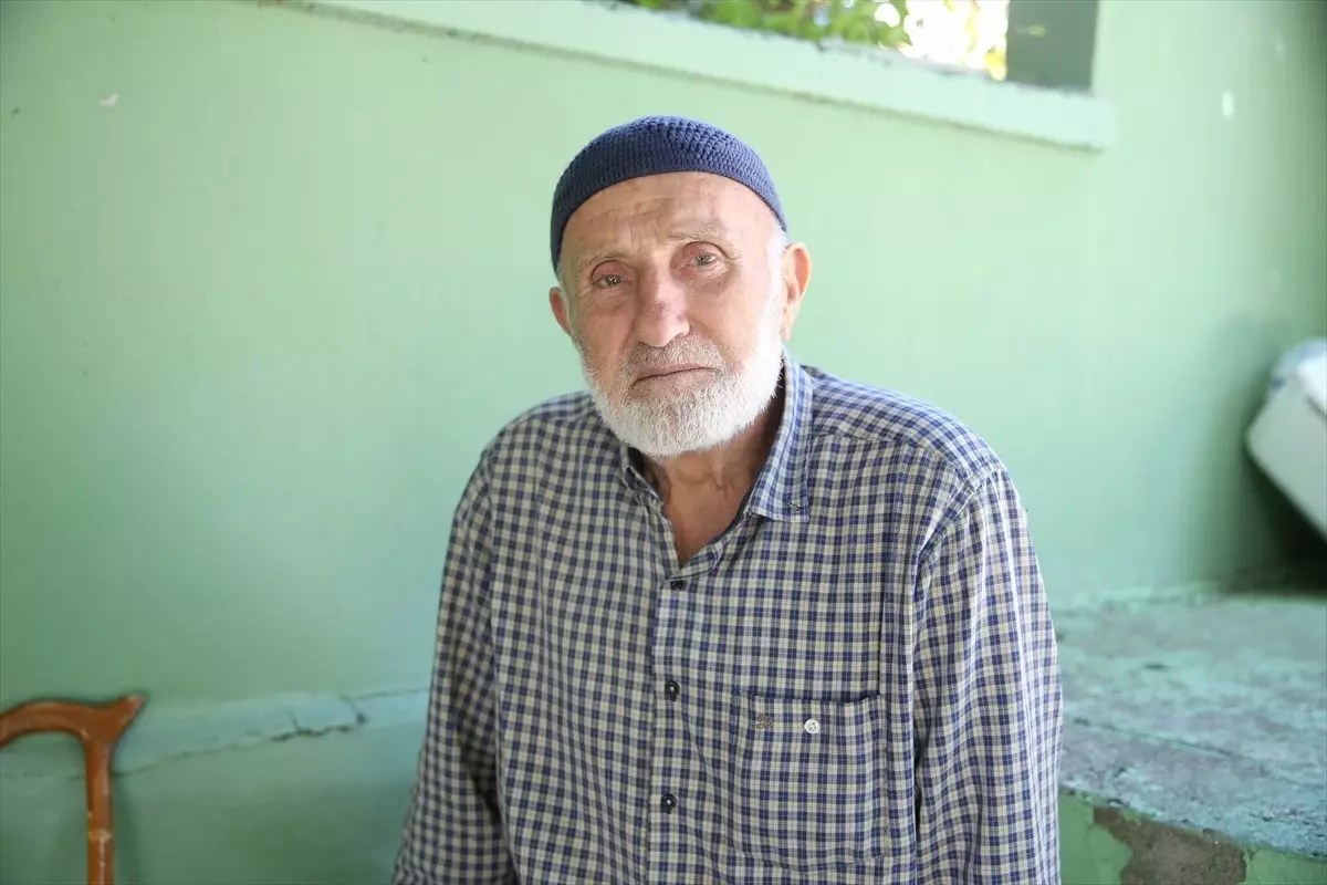 Sinop'ta Orman Yangını Kontrol Altına Alındı