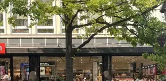 Sırbistan'da Siyah Giyen Kadınlar Derneği'nden Gazze İçin Eylem